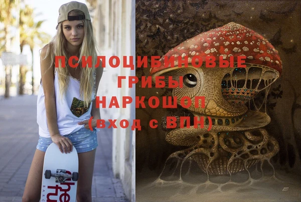 винт Кинешма