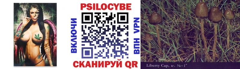 Псилоцибиновые грибы мицелий  Купить  Ипатово 